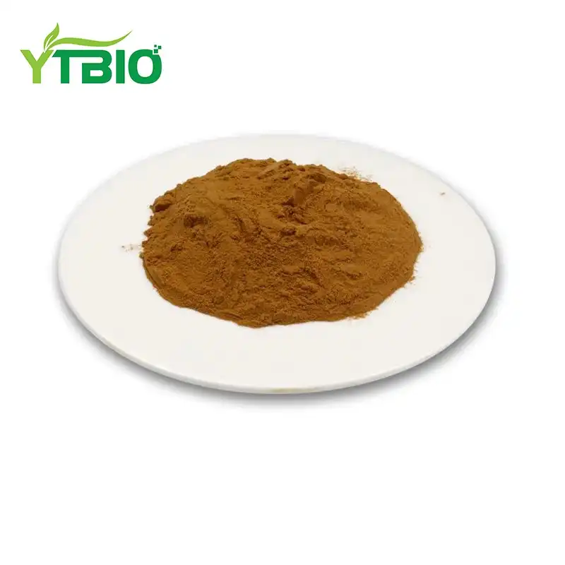 Bacopa Monniera Extract Powder